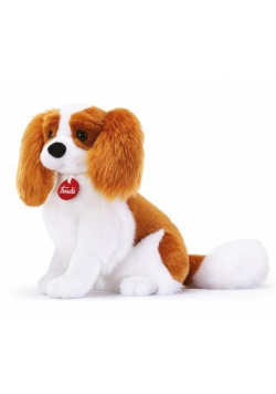 Maskotka Cavalier King TRUDI