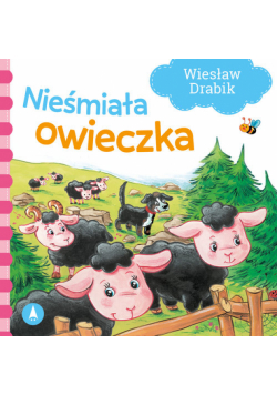 Nieśmiała owieczka