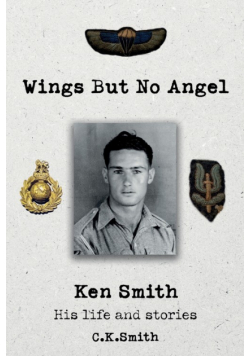 Wings But No Angel
