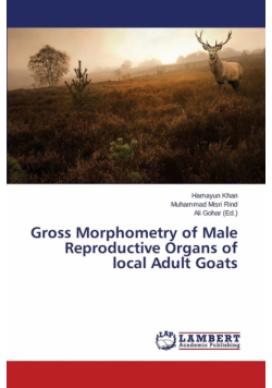 Gross Morphometry of Male Reproductive Organs of local Adult Goats