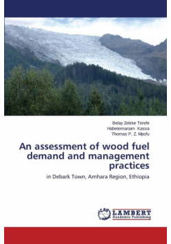 An assessment of wood fuel demand and management practices