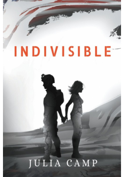 Indivisible