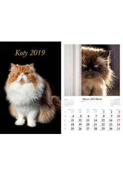 Kalendarz 2019 Koty 7 planszowy RADWAN