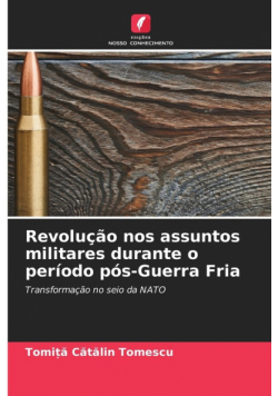 Revolução nos assuntos militares durante o período pós-Guerra Fria