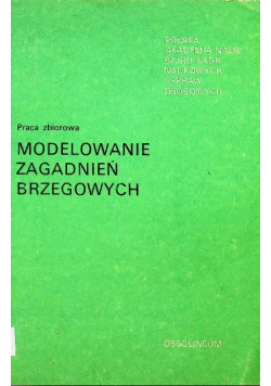 Modelowanie zagadnień brzegowych