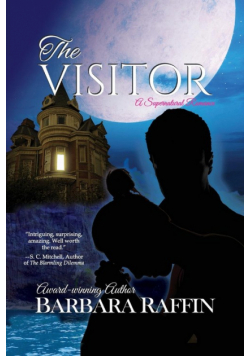 The Visitor