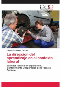 La dirección del aprendizaje en el contexto laboral