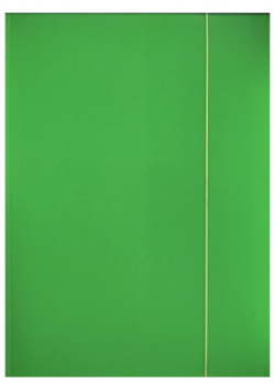 Teczka z gumką A4 Pantone Green 5 sztuk
