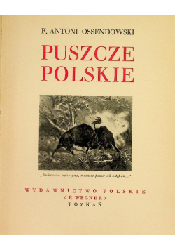 Puszcze polskie ok 1936 r.