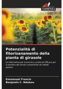Potenzialità di fitorisanamento della pianta di girasole