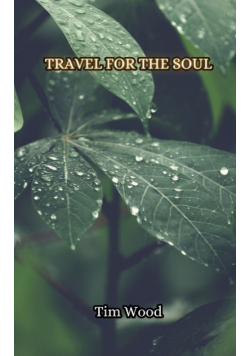 Travel for the Soul