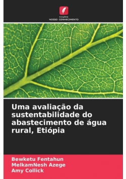 Uma avaliação da sustentabilidade do abastecimento de água rural, Etiópia