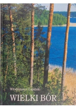Wielki Bór