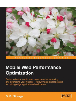 Mobile Web Performance Optimization