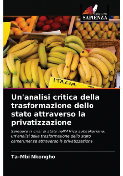 Un'analisi critica della trasformazione dello stato attraverso la privatizzazione