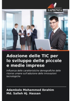 Adozione delle TIC per lo sviluppo delle piccole e medie imprese