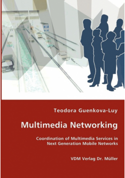 Multimedia Networking - Coordination of Multimedia Services in Next Generation Mobile Networks