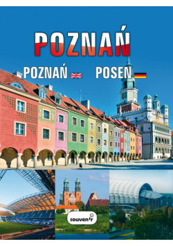 Poznań SOUVENIR Dragon