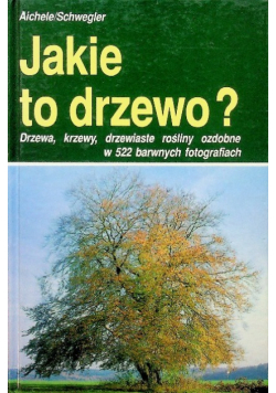 Jakie to drzewo