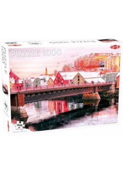 Puzzle Nivelda in Trondheim 1000