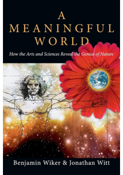 A Meaningful World