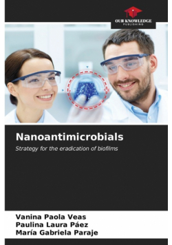 Nanoantimicrobials