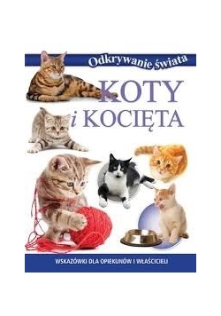 Koty i kocięta