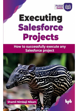 Executing Salesforce Projects