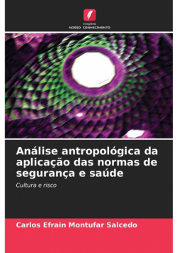 Análise antropológica da aplicação das normas de segurança e saúde