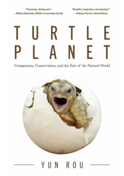 Turtle Planet