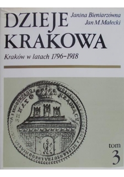 Dzieje Krakowa, tom III