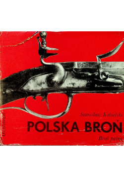 Polska broń Broń palna