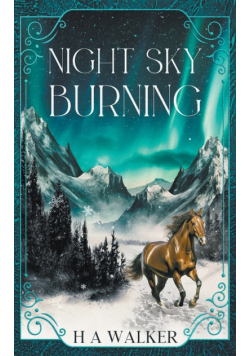 Night Sky Burning