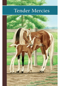Sonrise Stable