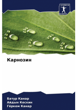 Карнозин