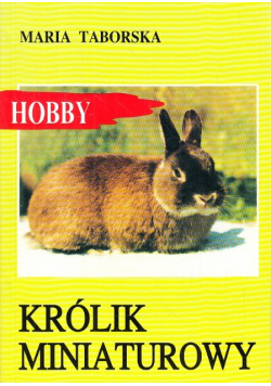 Hobby królik miniaturowy