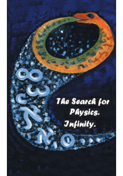 The Search for Physics. Infinity.