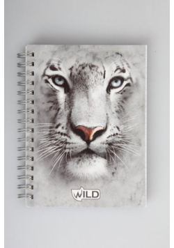 Kołonotes na spirali A6 Wild w katkę 100 kartek