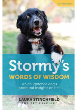 Stormy's Words of Wisdom