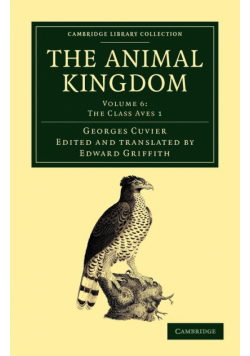 The Animal Kingdom - Volume 6