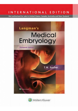 Langmans Medical Embryology 13e