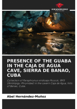 Presence Of The Guaba In The Caja De Agua Cave, Sierra De Banao, Cuba