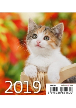 Kalendarz 2019 Biurkowy Mini Kotki HELMA