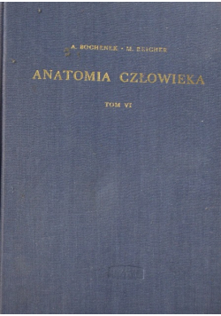 Anatomia Człowieka Tom VI