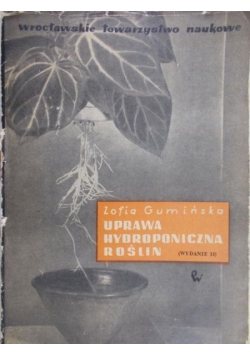 Uprawa hydroponiczna roślin
