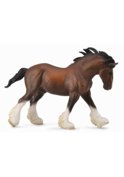 Ogier Clydesdale maści gniadej XL