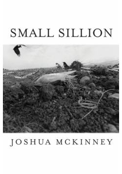 Small Sillion