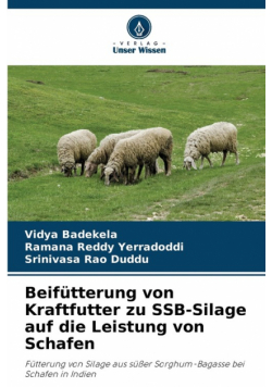 Beifütterung von Kraftfutter zu SSB-Silage auf die Leistung von Schafen