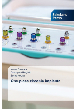 One-piece zirconia implants