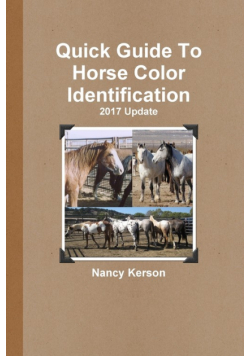 Quick Guide To Horse Color Identification - 2017 Update